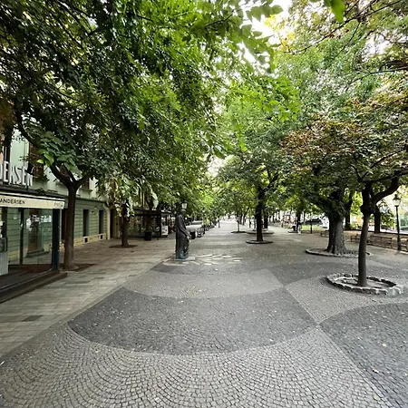 Hviezdoslav Square, The Historic Heart Of Apartman Pozsony